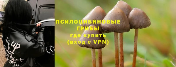 бошки Богородицк