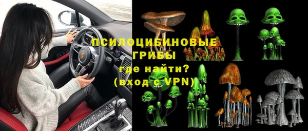 бошки Богородицк